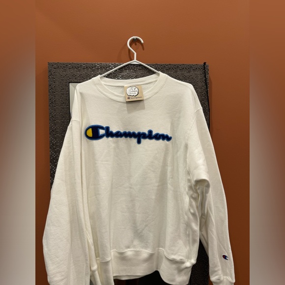 Brand new champions hoodie - Picture 1 of 4